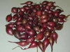 Shallot Sets, HEIRLOOM VEGETABLE - Caribbean garden seed