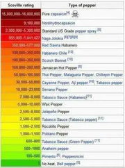 SERRANO PEPPER SEEDS,Capsicum annuum - Caribbean garden seed