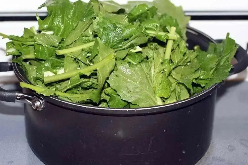 Seven Top Turnip Seeds ,HEIRLOOM ,Exelents For Turnip Greens ! - Caribbean garden seed