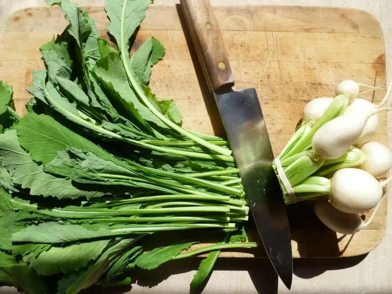 Seven Top Turnip Seeds ,HEIRLOOM ,Exelents For Turnip Greens ! - Caribbean garden seed