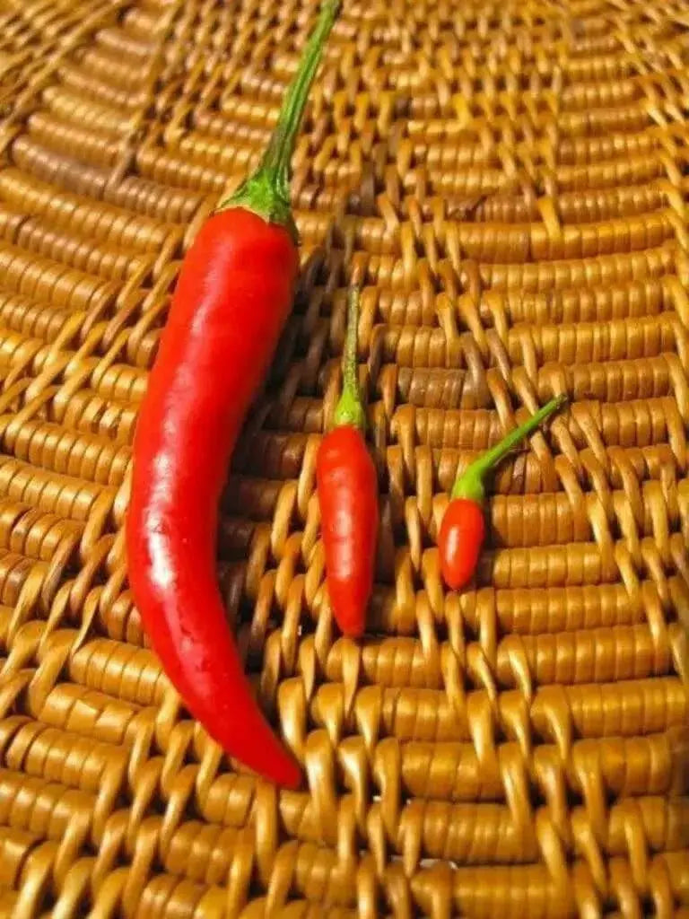 Siling Labuyo hot Pepper seeds,Capsicum frutescens,  ASIAN VEGETABLE - Caribbean garden seed