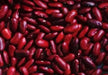 Small Red Bean Seeds ,(BUSH)  Salvadorian Red Bean - Caribbean garden seed