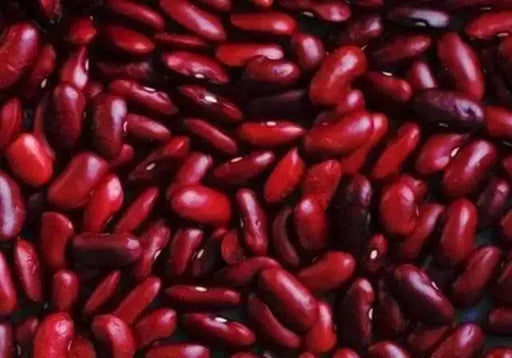 Small Red Bean Seeds ,(BUSH)  Salvadorian Red Bean - Caribbean garden seed
