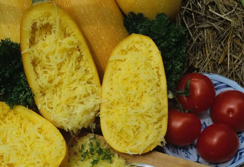Spaghetti  Squash, Seeds, ASIAN VEGETABLES, WINTER SQUASH - Caribbean garden seed
