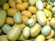 Spaghetti  Squash, Seeds, ASIAN VEGETABLES, WINTER SQUASH - Caribbean garden seed