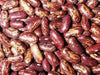 Spanish Tolosana Bean Seeds a.K.a , Prince bean, Phaseolus vulgaris-, Heirloom Red Bush Bean! - Caribbean garden seed