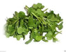 Spicy Brown Seed (Brassica juncea) Grow Year round, 5 days, Mustard Microgreen.
