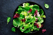Spicy RADICCHIO & Chicory Mix -HARY VEGETABLE Seed - Caribbean garden seed
