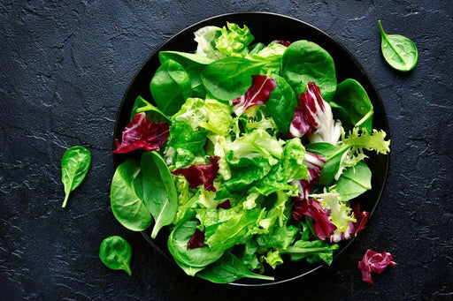 Spicy RADICCHIO & Chicory Mix -HARY VEGETABLE Seed - Caribbean garden seed