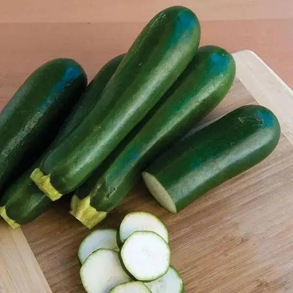 Spineless Perfection (F1) Zucchini Squash Seed - Caribbean garden seed