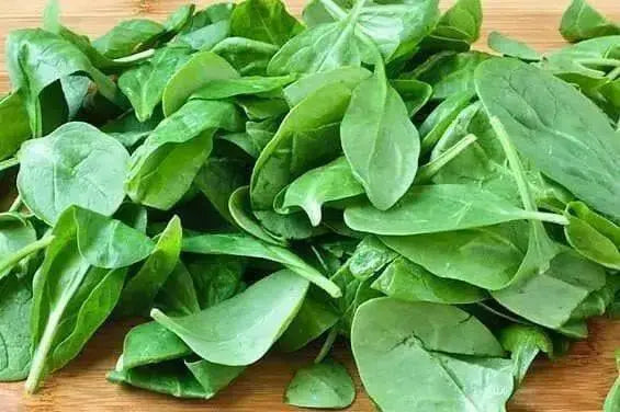 Spinach Seeds, Bloomsdale ~Organic HEIRLOOM VEGETABLE - Caribbean garden seed