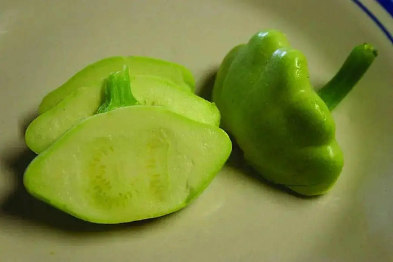 Squash Summer Seeds , Scallop,Pattypan squash, Annual Vegetable - Caribbean garden seed