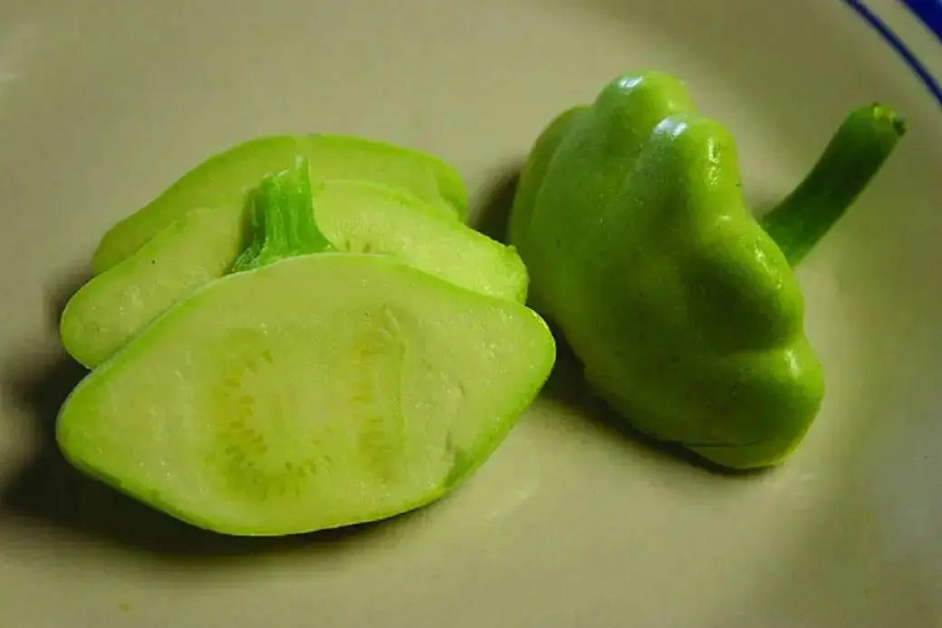 Squash Summer Seeds , Scallop,Pattypan squash, Annual Vegetable - Caribbean garden seed
