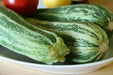Squash Summer Cocozelle Zucchini Squash,Seeds, highly productive ! - Caribbean garden seed