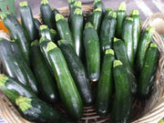 Squash Summer Black Beauty Zucchini ,HEIRLOOM Seeds, highly productive ! - Caribbean garden seed