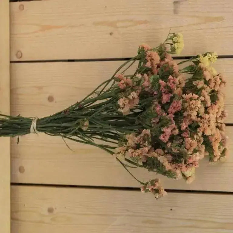 Statice Seeds - Apricot (Limonium Sinuatum Apricot Beauty) Great For Cut Flowers ! - Caribbean garden seed