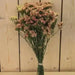 Statice Seeds - Apricot (Limonium Sinuatum Apricot Beauty) 100 Seeds ! - Caribbean garden seed