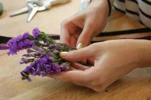 Statice Seeds - Purple (Limonium Sinuatum ) Great For Cut Flowers- 100 Seeds ! - Caribbean garden seed