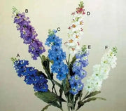 Stock Blue - SEEDS (Matthiola Incana Ten Week Blue) ANNUAL FLOWERS - Caribbean garden seed