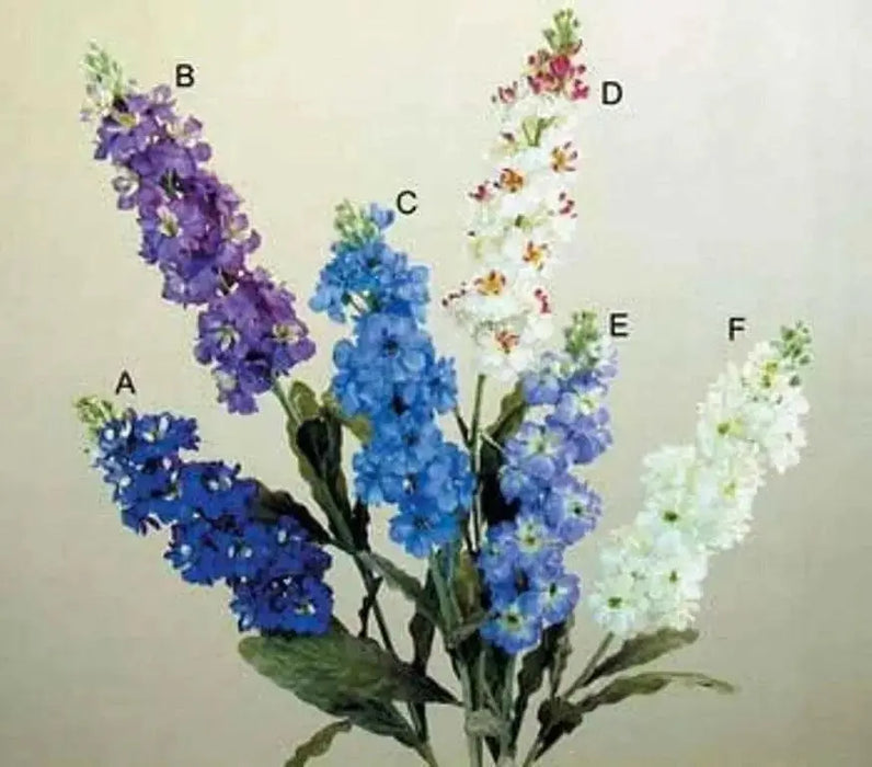 Stock Blue - SEEDS (Matthiola Incana Ten Week Blue) ANNUAL FLOWERS - Caribbean garden seed