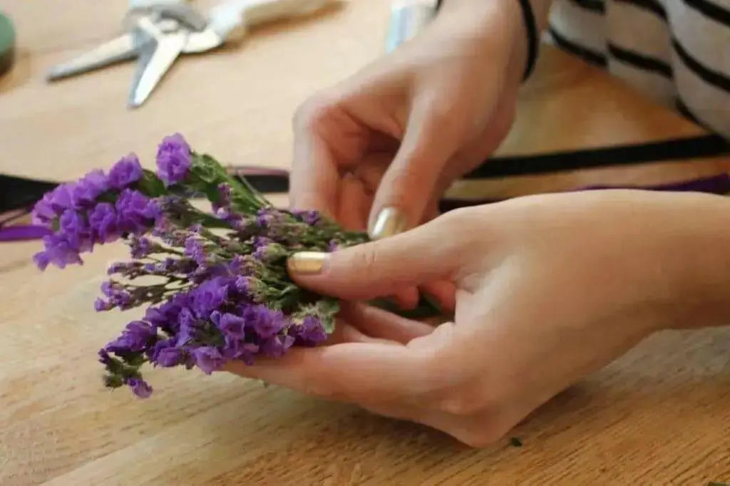 Statice Seeds - Purple Attraction, ANNUAL FLOWERS! - Caribbean garden seed