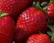 Strawberry  PLANTS (BAREROOT)  ALLSTAR,EVERBEARING, JEWEL - Caribbean garden seed
