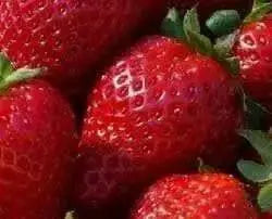 STRAWBERRY SEEDS (Fragaria ananassa) bright red fruit has great flavor (Organic seeds) - Perennial ! - Caribbean garden seed