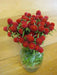 Strawberry Fields Gomphrena Seeds , ANNUAL Flowers - Caribbean garden seed