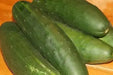 Straight Eight,Cucumber SEEDS, Heirloom Vegetable,All-America Selections winner. - Caribbean garden seed