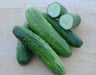 Straight Eight,Cucumber SEEDS, Heirloom Vegetable,All-America Selections winner. - Caribbean garden seed