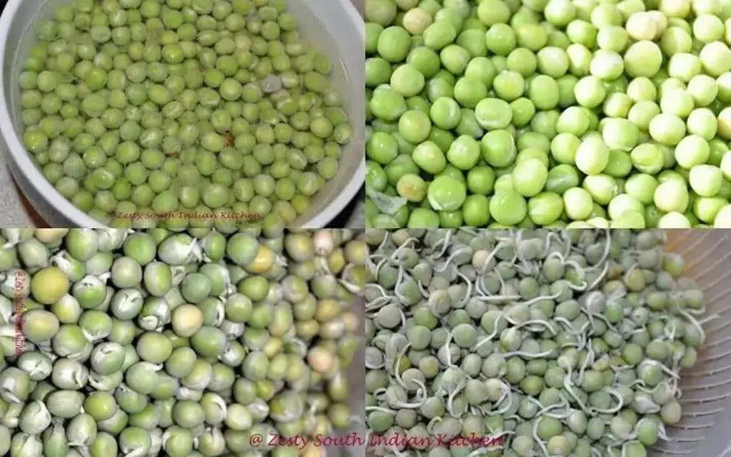 Super Sweet  Green Arrow Peas seed~ Organically Grown .shelling peas - Caribbean garden seed