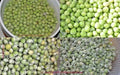Super Sweet  Green Arrow Peas seed~ Organically Grown .shelling peas - Caribbean garden seed