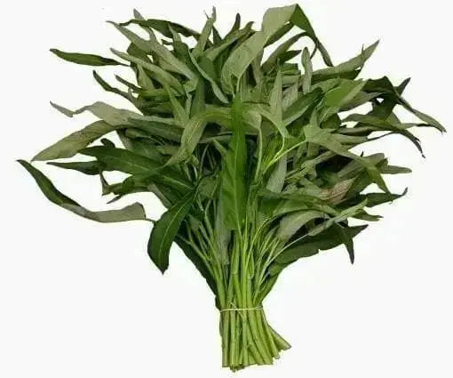 Swamp cabbage. Water Spinach - Seeds, Asian Vegetables, Morning Glory - Caribbean garden seed