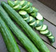 SUYO LONG CUCUMBER Seeds, Annual Vegetable - Caribbean garden seed