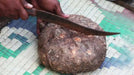 Suran, or Elephant yam tuber, ROOT VEGETABLE - Caribbean garden seed