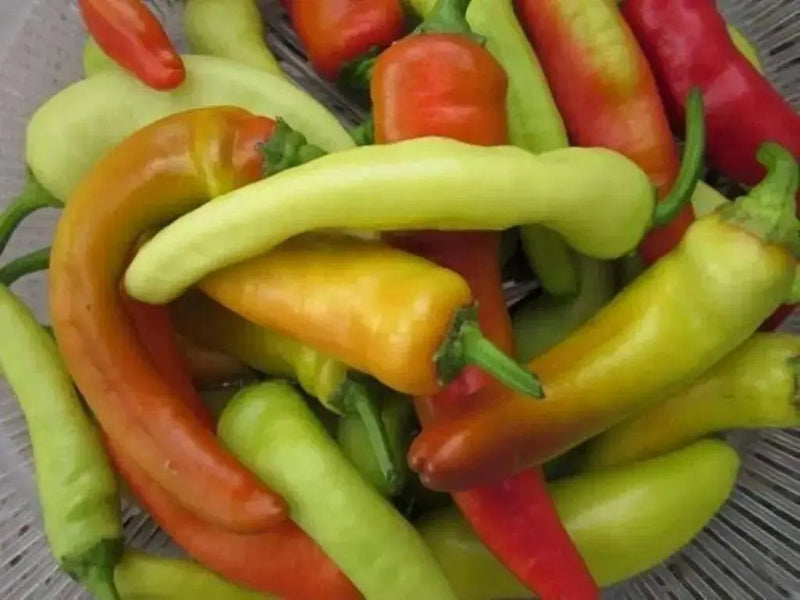 Sweet Banana Pepper Seeds,(Capsicum annuum 'Sweet) - Caribbean garden seed