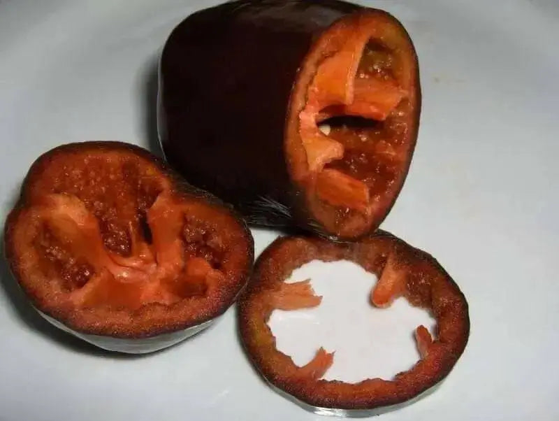 Sweet Bell Pepper SEEDS  "Chocolate Beauty"  Capsicum annuum - Caribbean garden seed