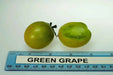 Sweet GREEN GRAPE Tomato Seeds.Organic Home Grown Small Tomatoes,Organic Home Grown Small Tomatoes Fruit - Caribbean garden seed