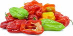 Sweet habanero Pepper-FRESH PODS ,CARIBBEAN PRODUCT, aji cito, Aji Dulce #2 - Caribbean garden seed