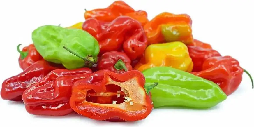 Sweet habanero Pepper-FRESH PODS ,CARIBBEAN PRODUCT, aji cito, Aji Dulce #2 - Caribbean garden seed