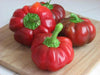 Sweet PIMENTO, Pepper seeds, Capsicum annuum - Caribbean garden seed