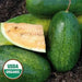 Sweet Siberian ,Watermelon Seeds, HEIRLOOM VEGETABLE - Caribbean garden seed