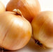Sweet Yellow Spanish  Onions Seeds,(LONG DAY) annual VEGETABLE - Caribbean garden seed