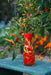 Tabasco Pepper SEEDS (Capsicum frutescens) - Caribbean garden seed