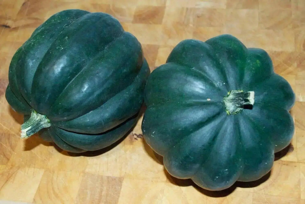 Table Queen ,Winter Squash Seeds - Caribbean garden seed
