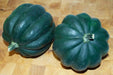 Table Queen ,Winter Squash Seeds - Caribbean garden seed