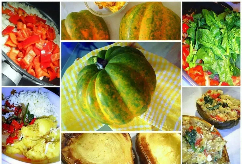 Table Queen ,Winter Squash Seeds - Caribbean garden seed