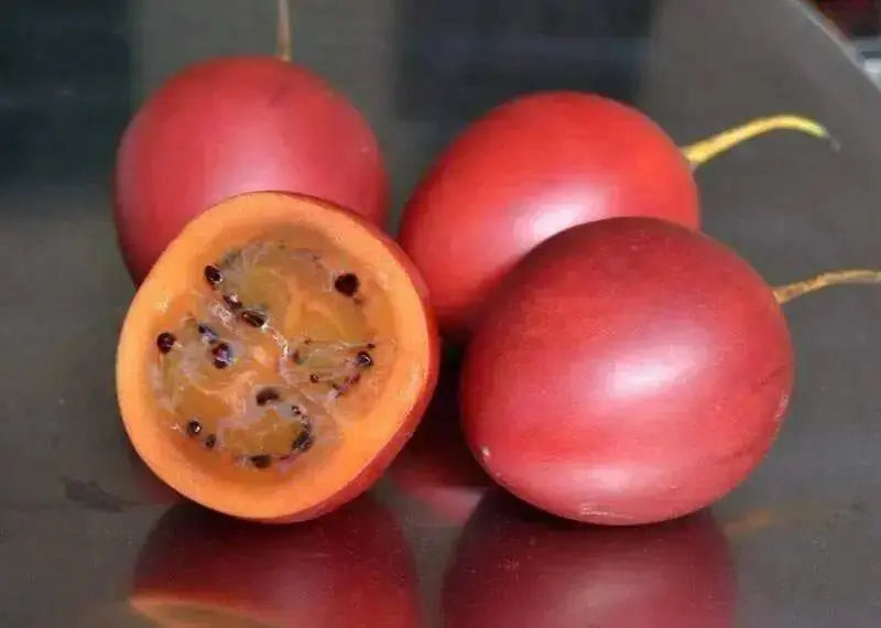 Tamarillo Seeds ,FRUIT TREE, PERENNIAL - Caribbean garden seed