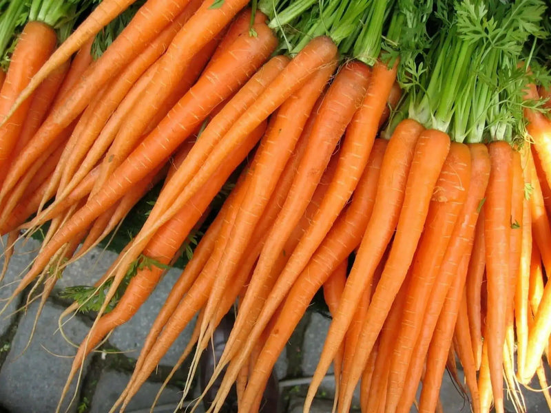 Tendensweet Carrot Seeds, Biannual Vegetable, - Caribbean garden seed