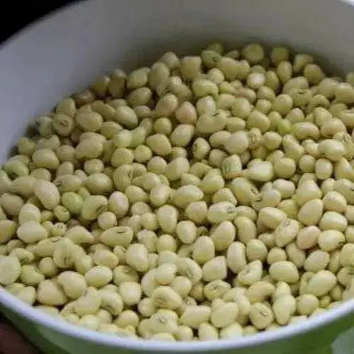 Texas Cream 8,Cowpea Seed  Southern Peas - Caribbean garden seed